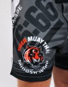 MMA Shorts - "76-66" V2 - Dark Grey