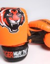 Kids Gloves - Muay Thai - "Signature" - Orange